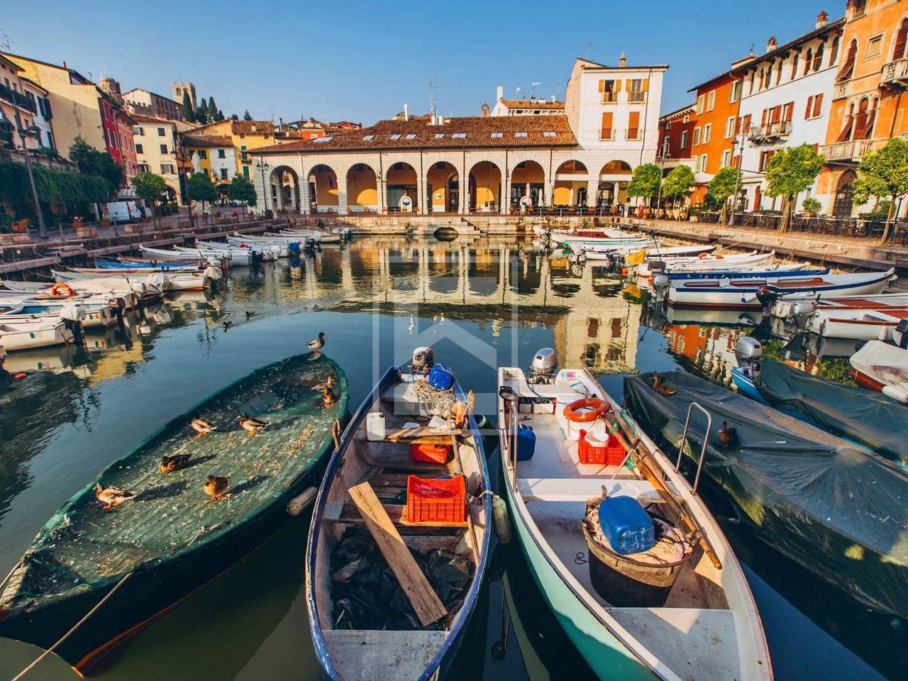 immagine annuncio 14 di 15