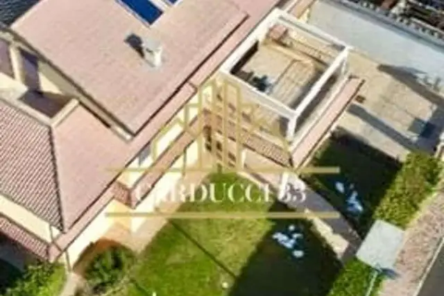insertion image