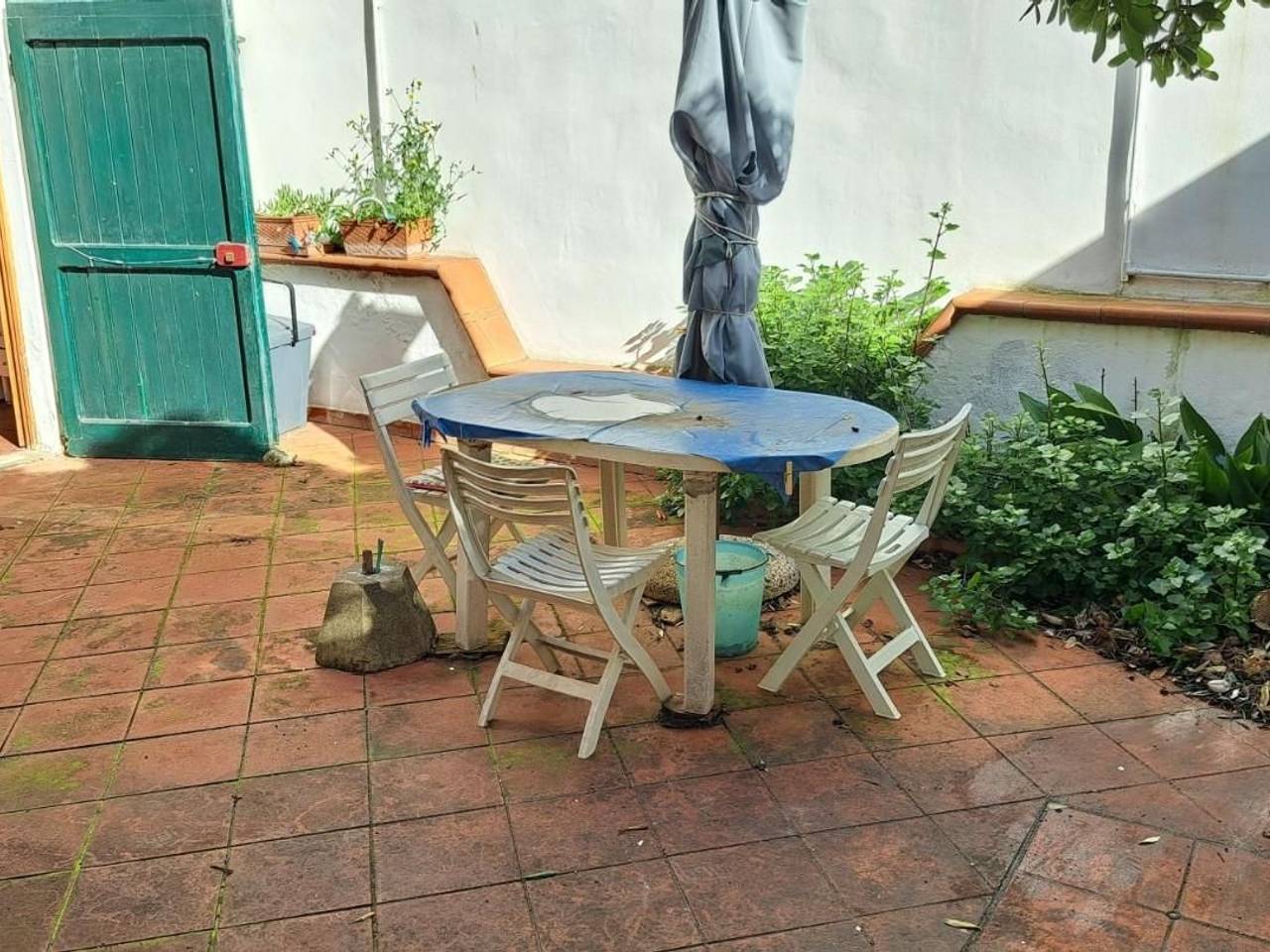 immagine annuncio 1 di 14