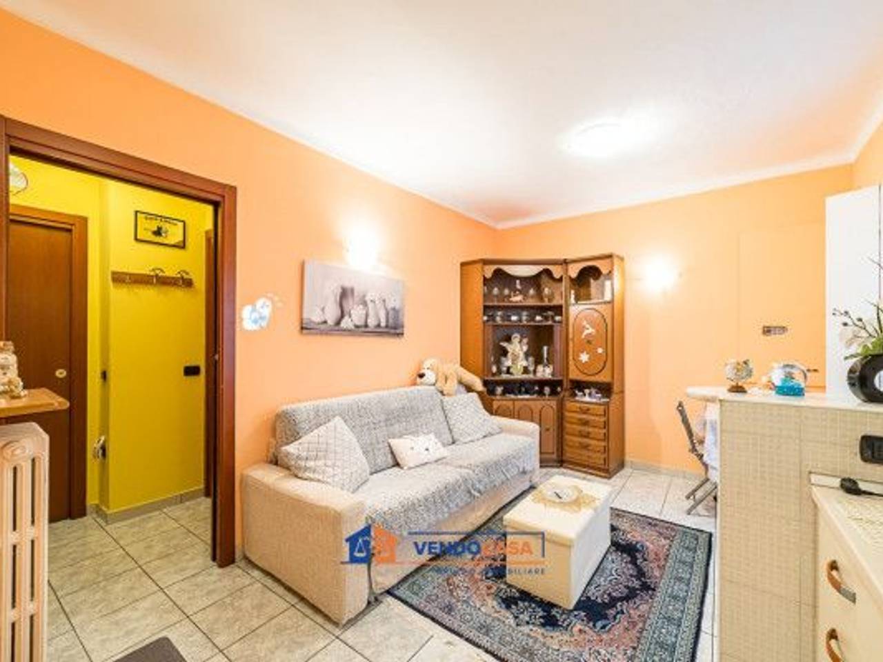 immagine annuncio 3 di 14