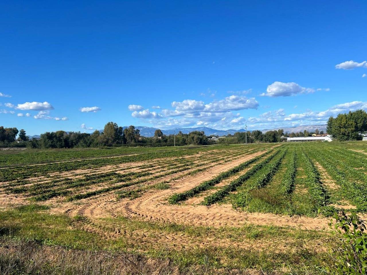 immagine annuncio 1 di 7