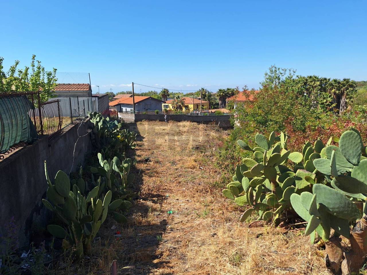 immagine annuncio 5 di 6