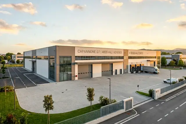 insertion image