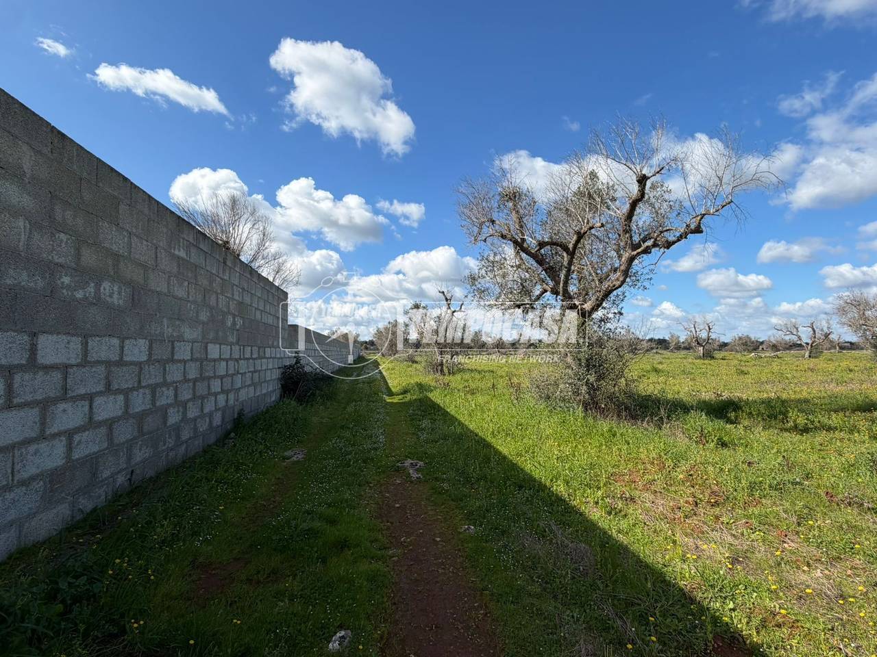 immagine annuncio 2 di 11