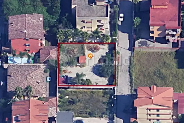 insertion image