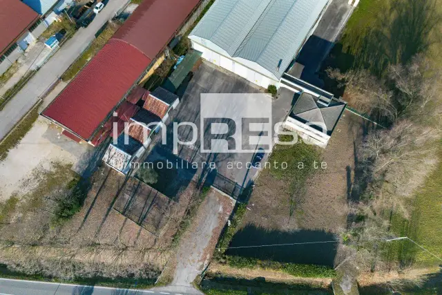 insertion image