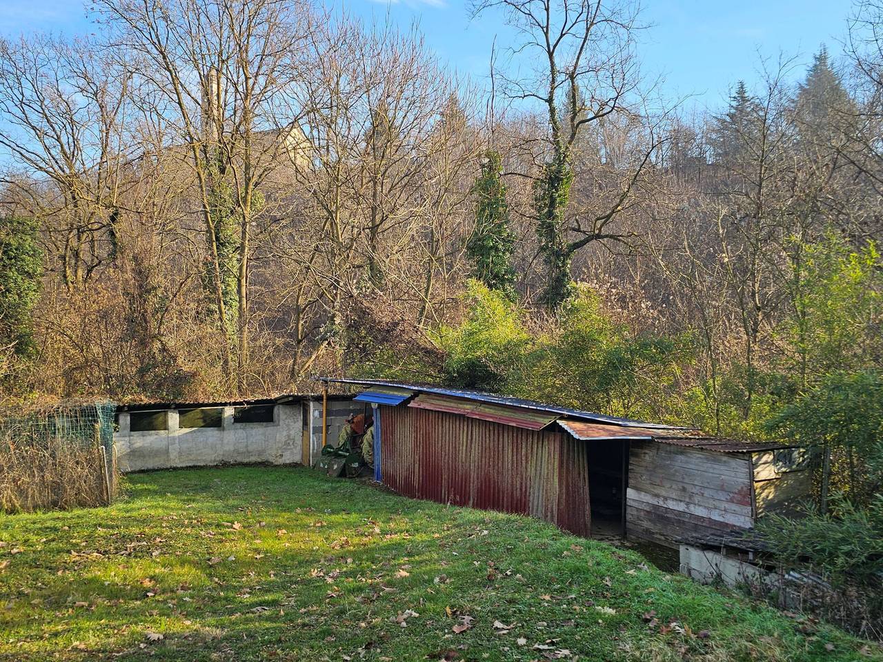 immagine annuncio 9 di 15