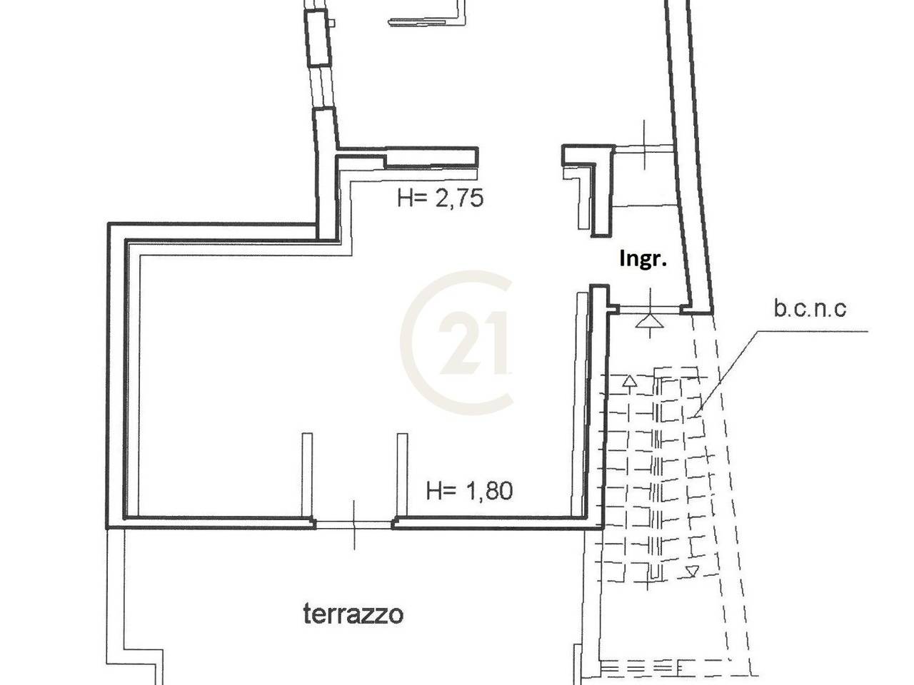 immagine annuncio 8 di 14