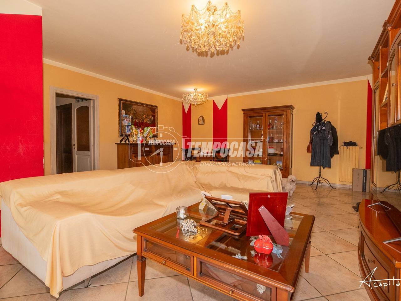 immagine annuncio 2 di 15