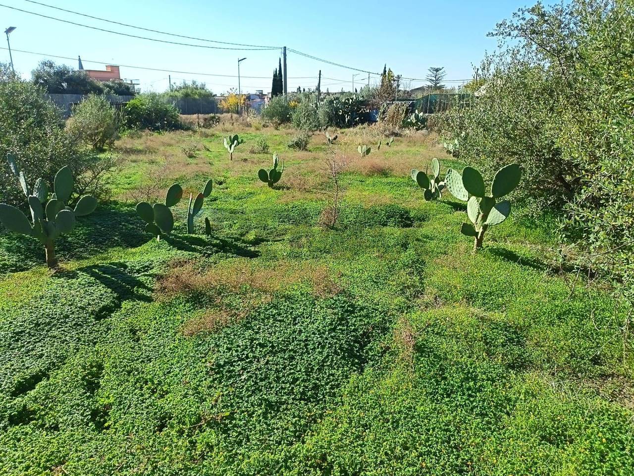 immagine annuncio 6 di 7