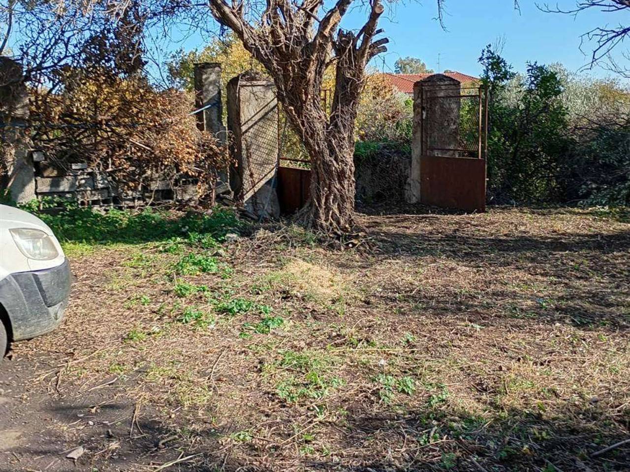 immagine annuncio 10 di 14