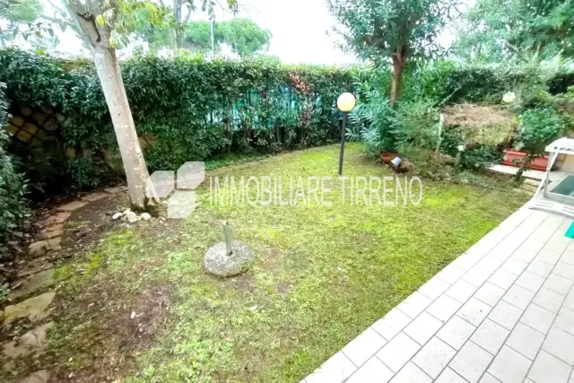 insertion image