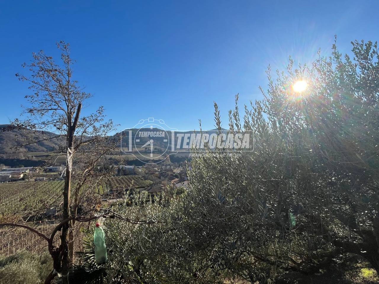 immagine annuncio 8 di 13