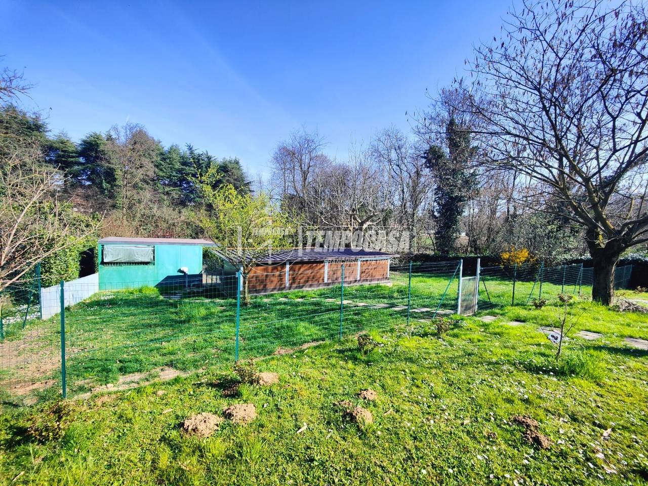 immagine annuncio 3 di 12