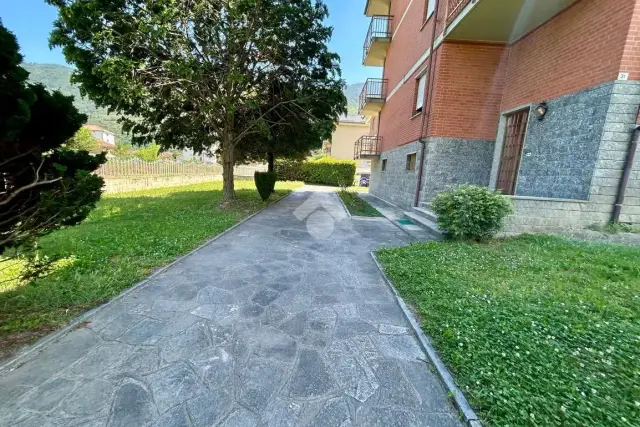 insertion image