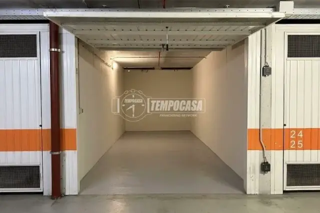 insertion image