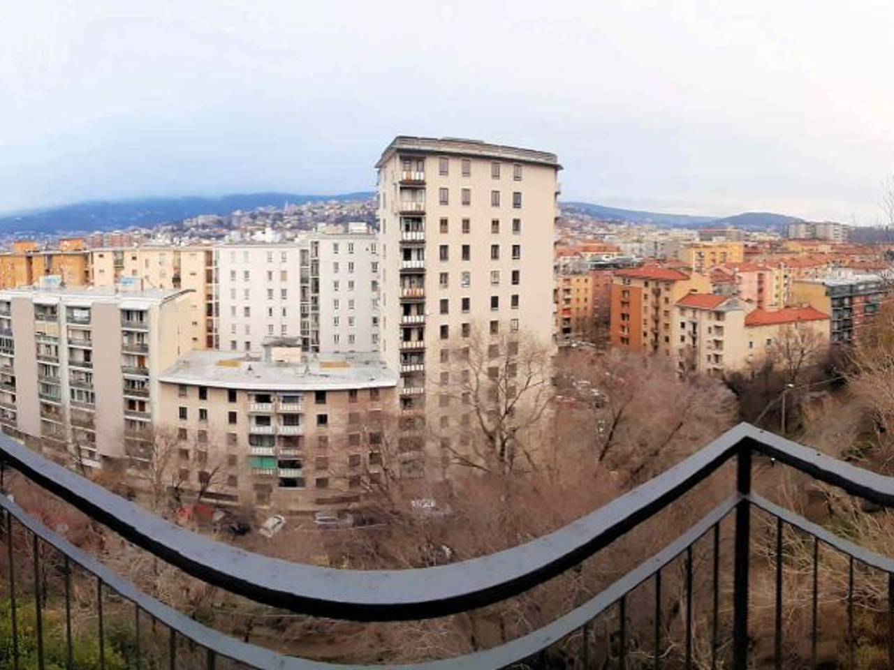 immagine annuncio 12 di 15