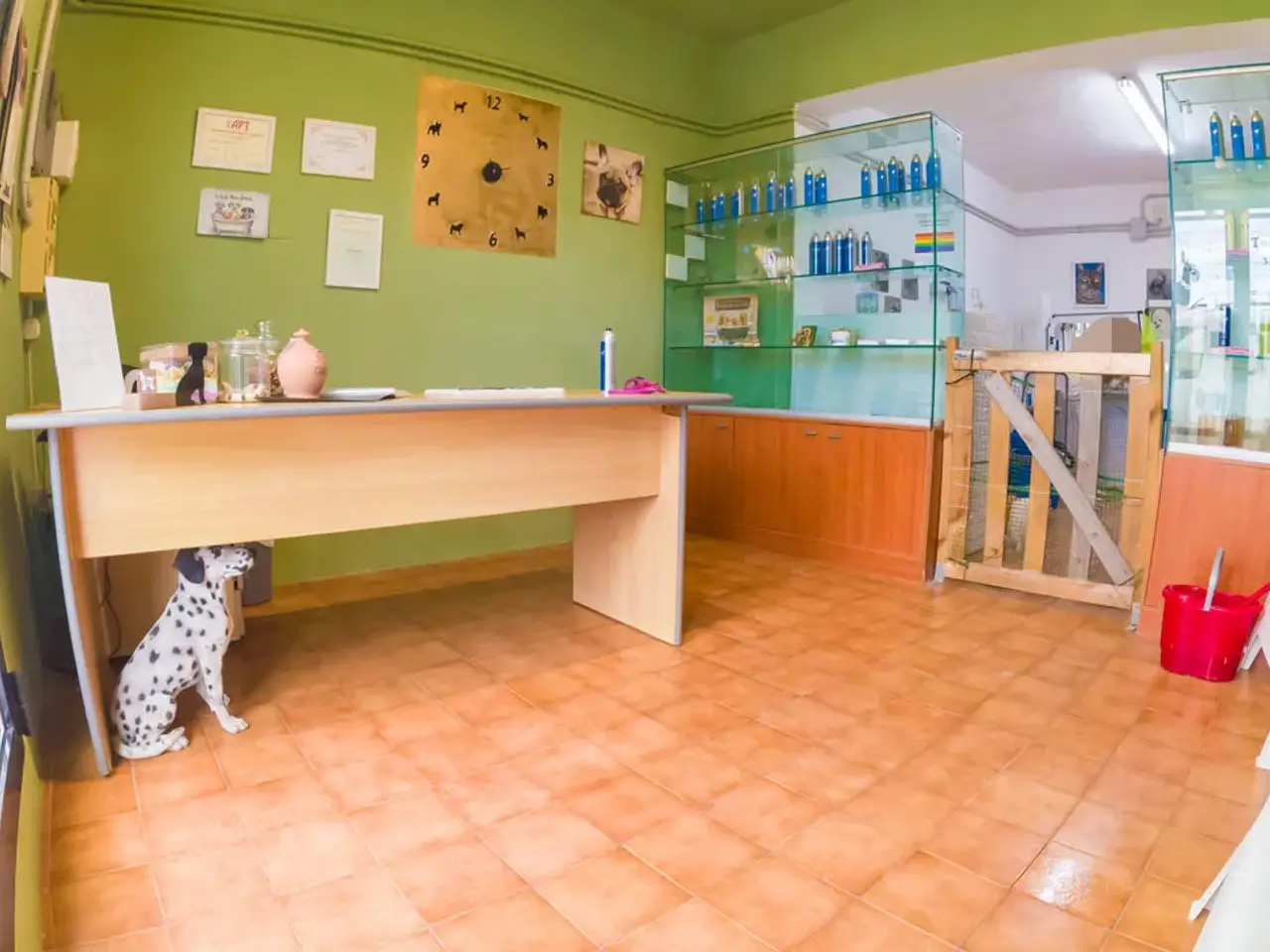 Negozio in , Mondolfo, {3} - Foto 1