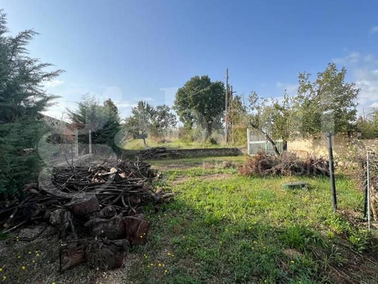 immagine annuncio 5 di 8