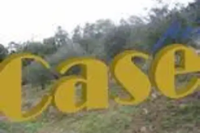 insertion image
