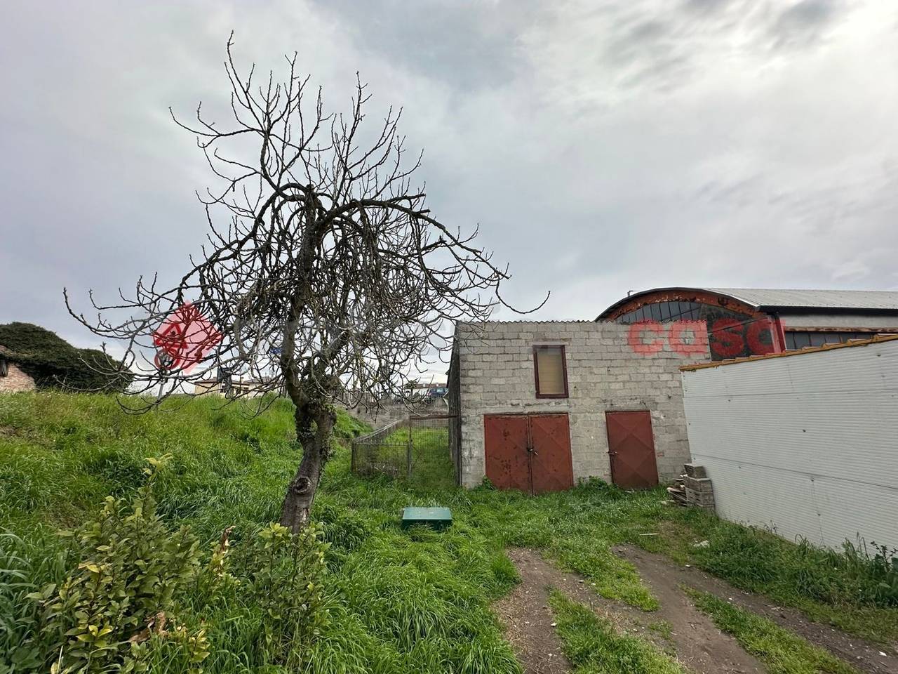 immagine annuncio 11 di 12