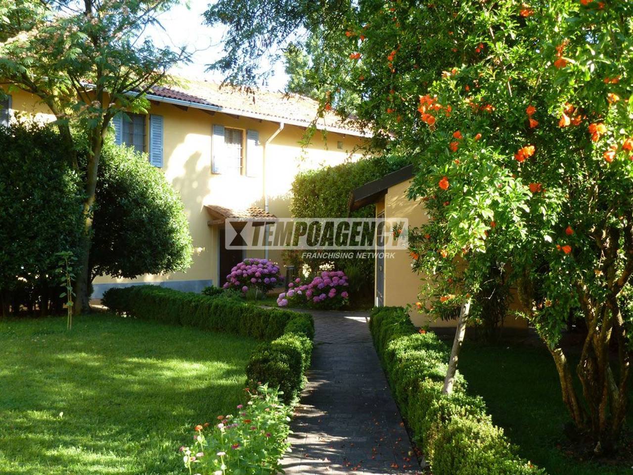 immagine annuncio 2 di 8