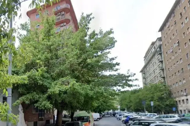 insertion image
