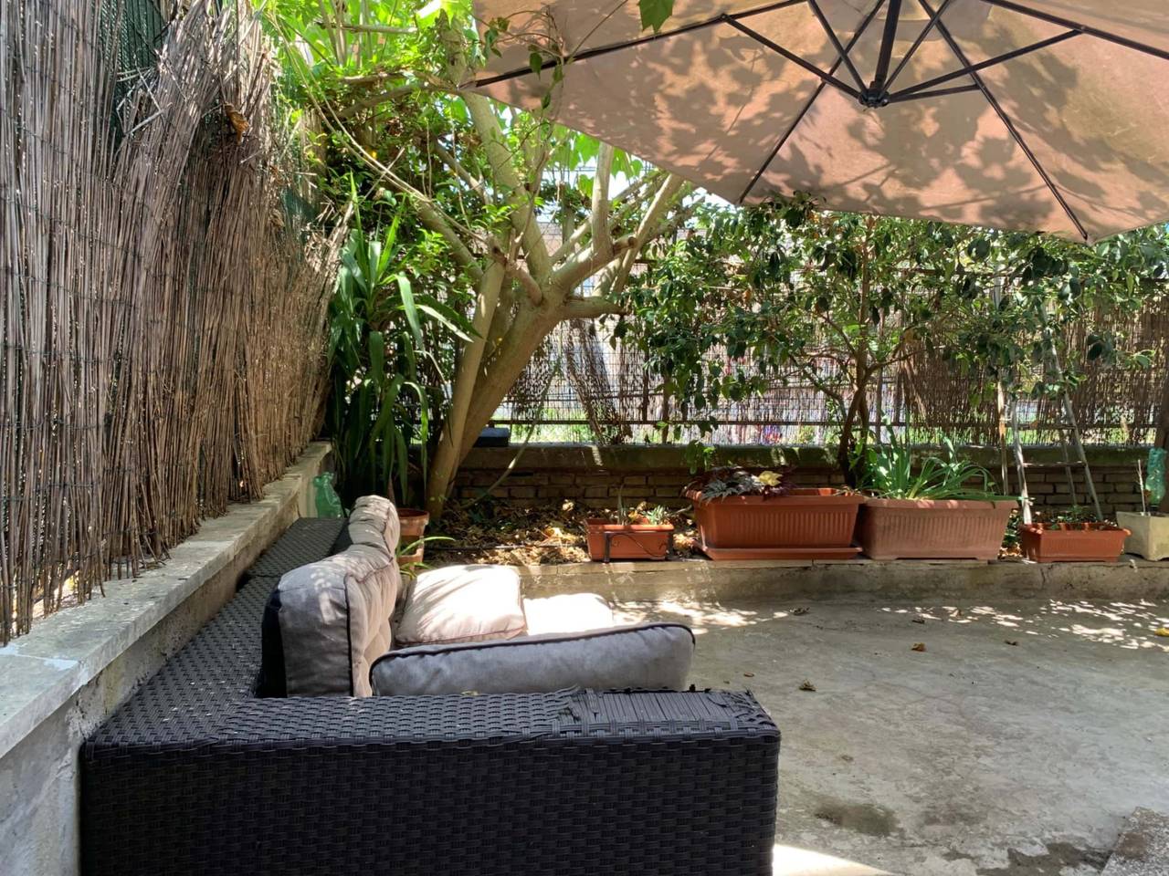 immagine annuncio 1 di 12