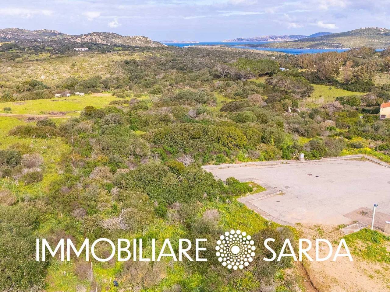 immagine annuncio 8 di 12