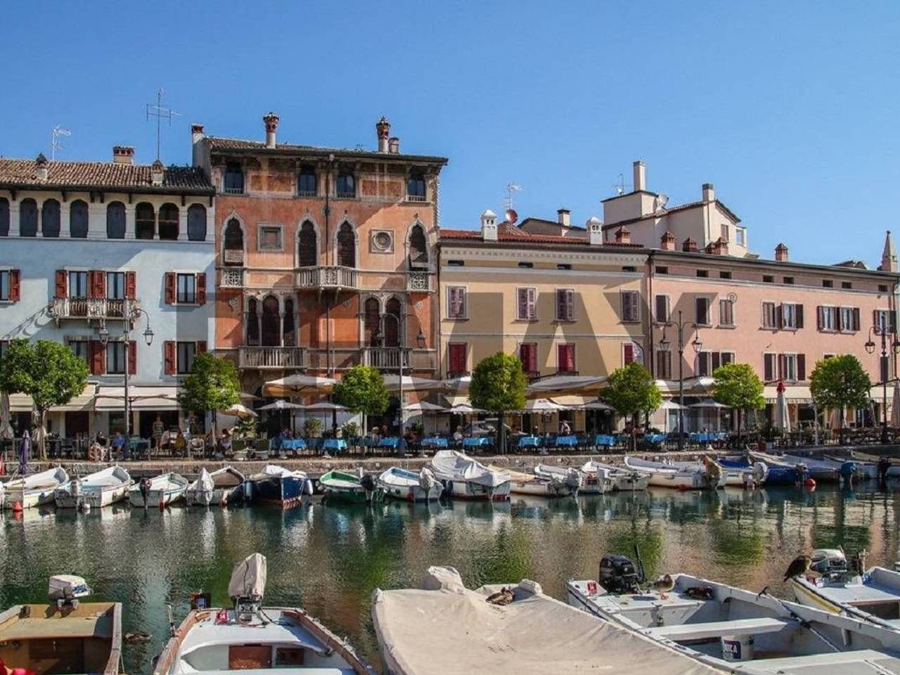 immagine annuncio 5 di 12