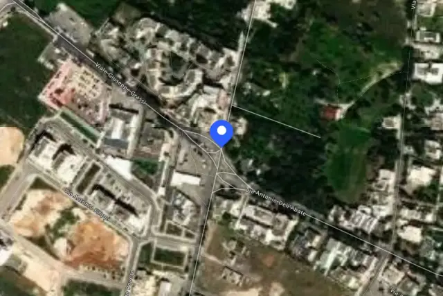 insertion image