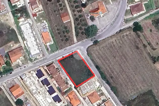 insertion image