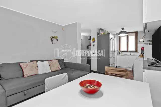 insertion image