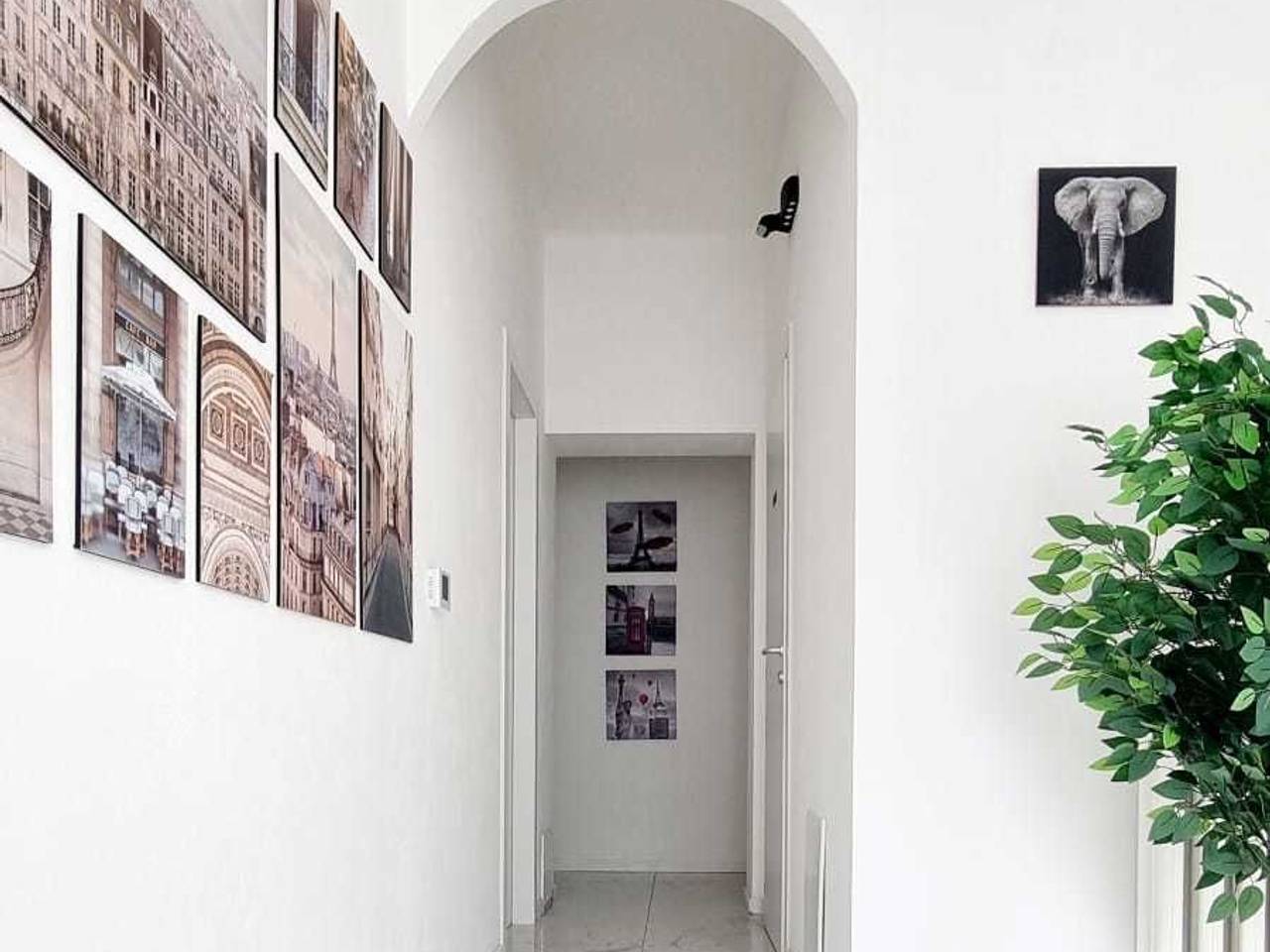 immagine annuncio 4 di 7