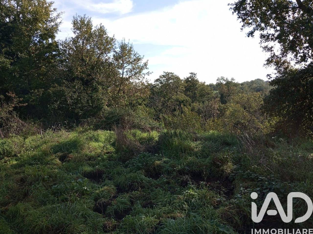 immagine annuncio 6 di 9