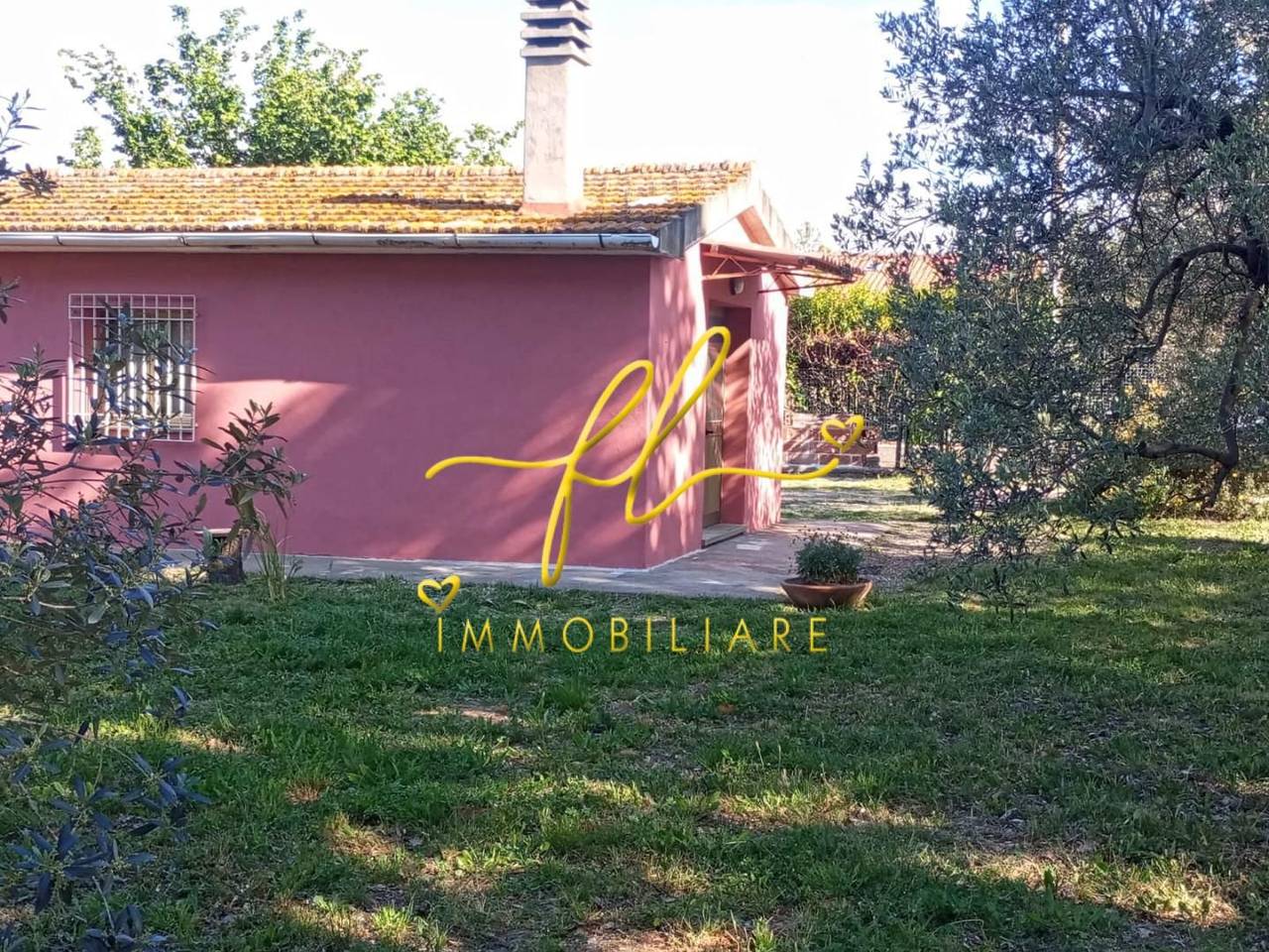 immagine annuncio 3 di 7