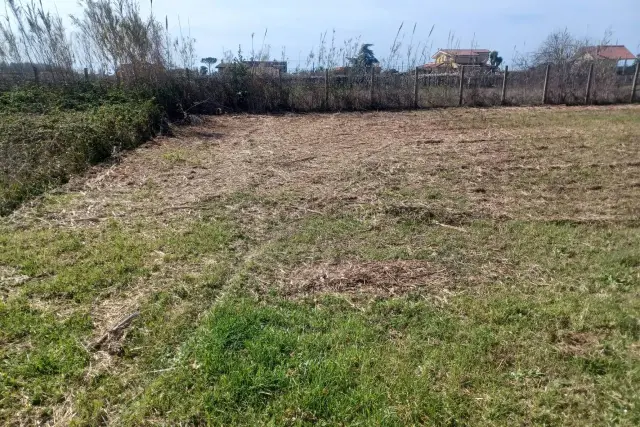 Agricultural land in Via Campo Cerreto, Nettuno - Photo 1