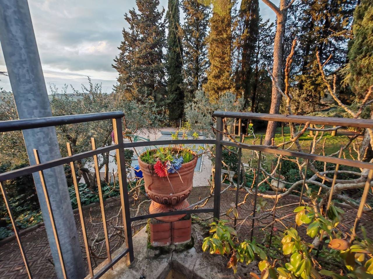 immagine annuncio 12 di 14