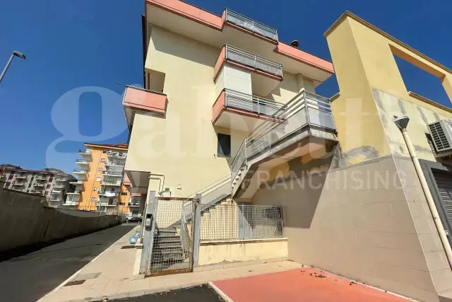insertion image