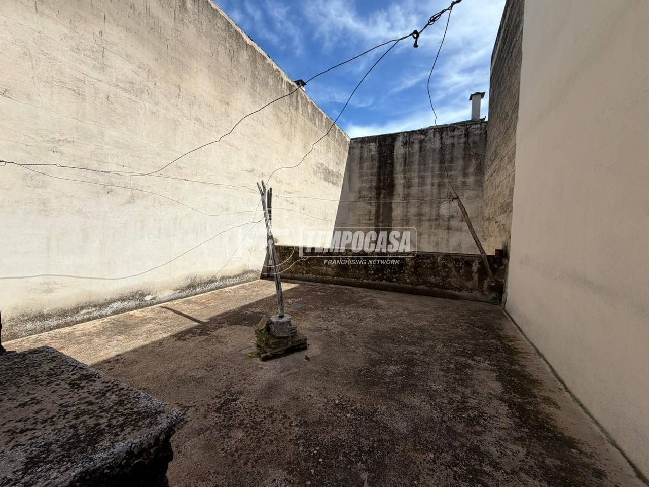 immagine annuncio 11 di 14