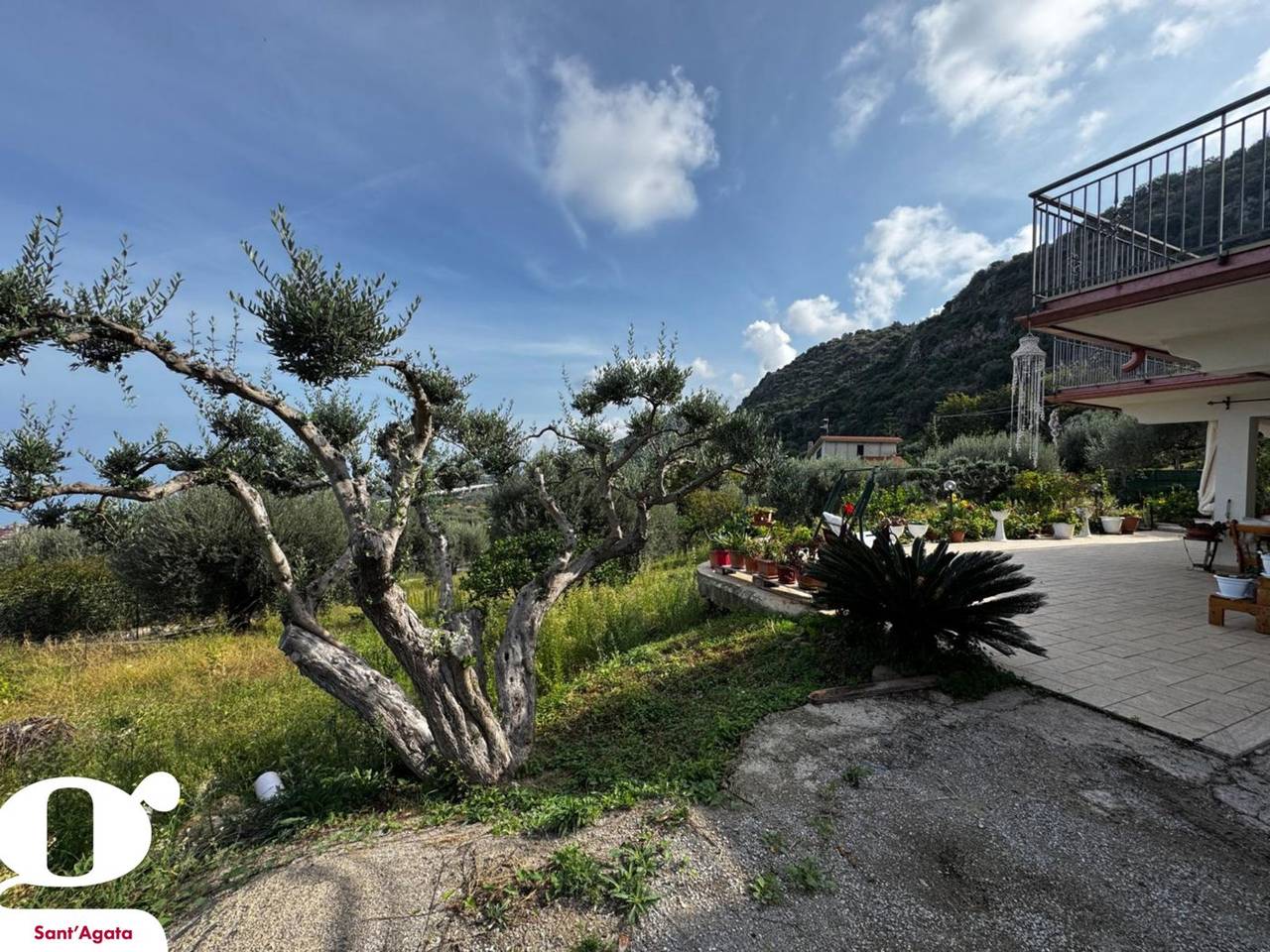 immagine annuncio 1 di 13