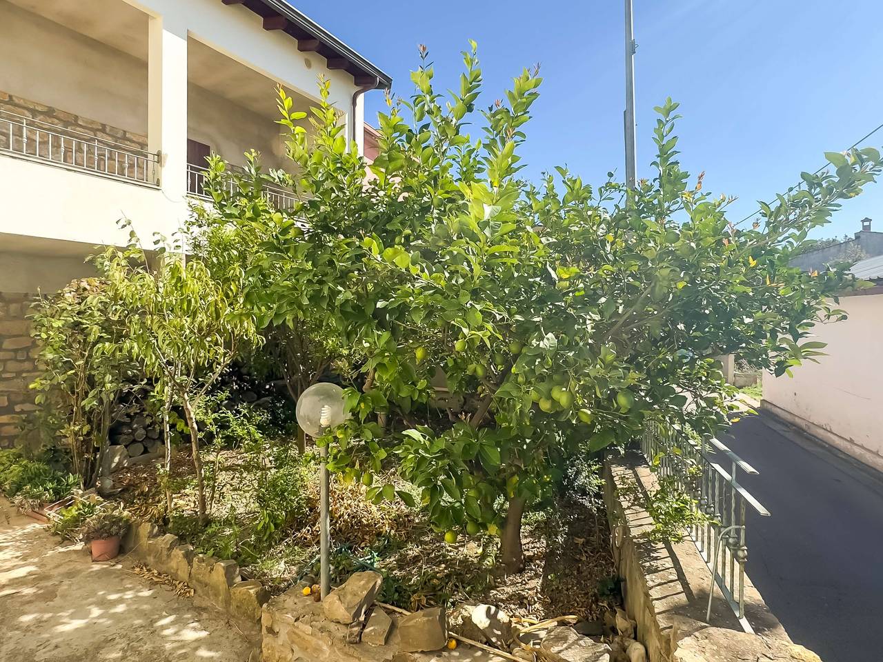 immagine annuncio 1 di 14