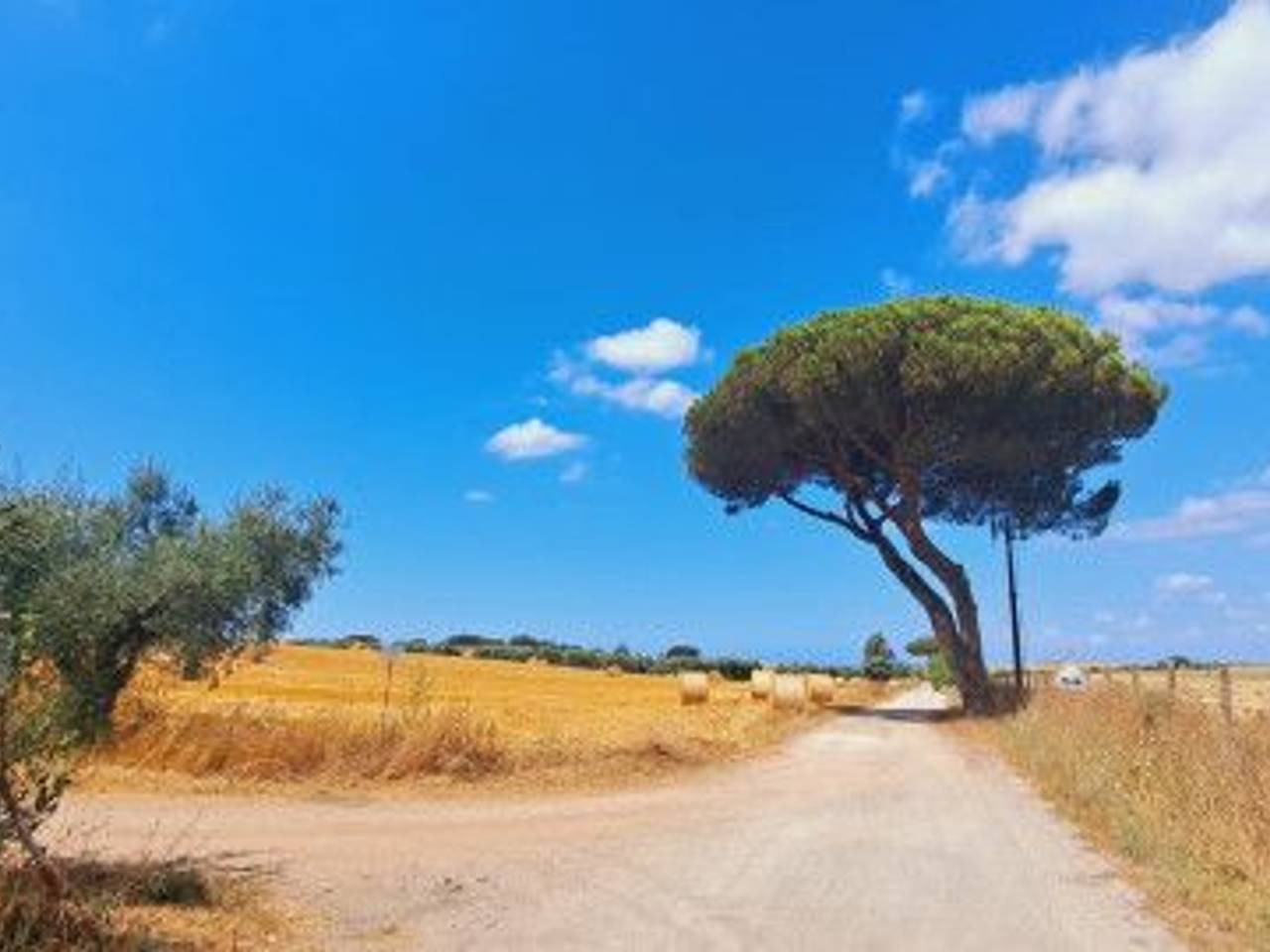 immagine annuncio 1 di 14