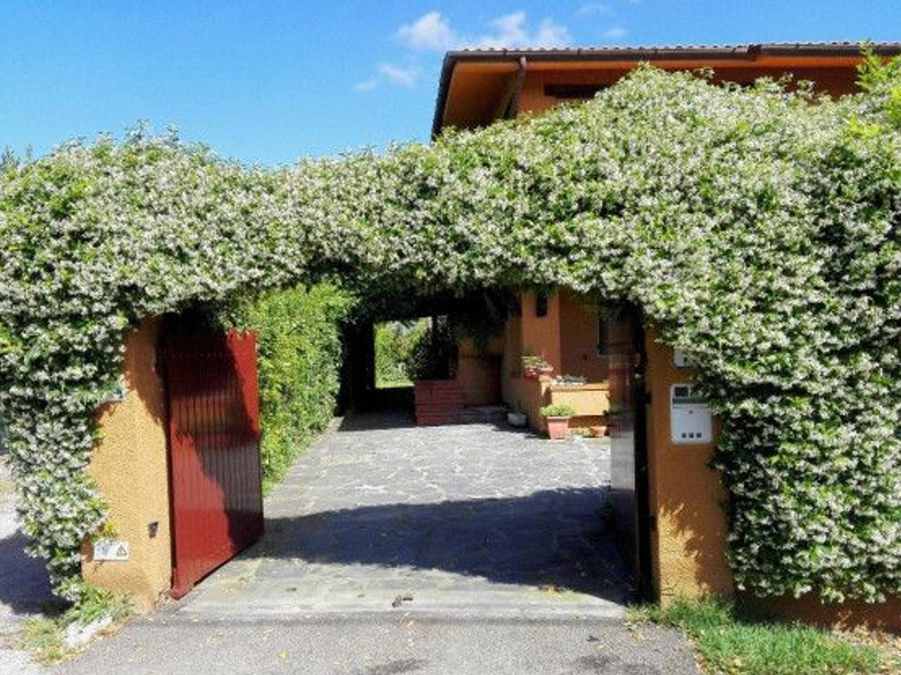 immagine annuncio 12 di 14