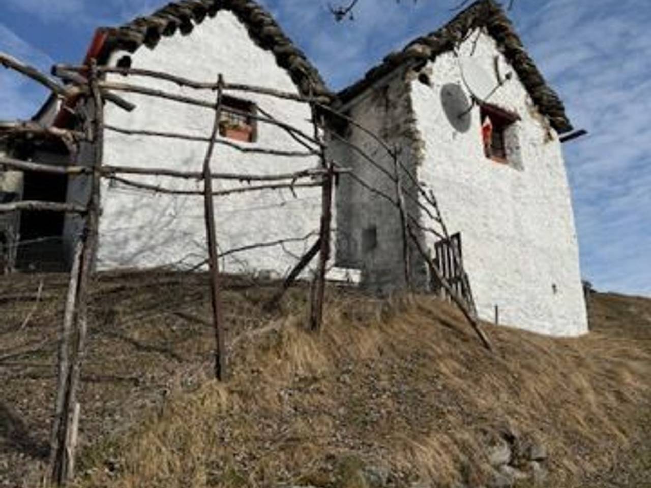 immagine annuncio 2 di 14