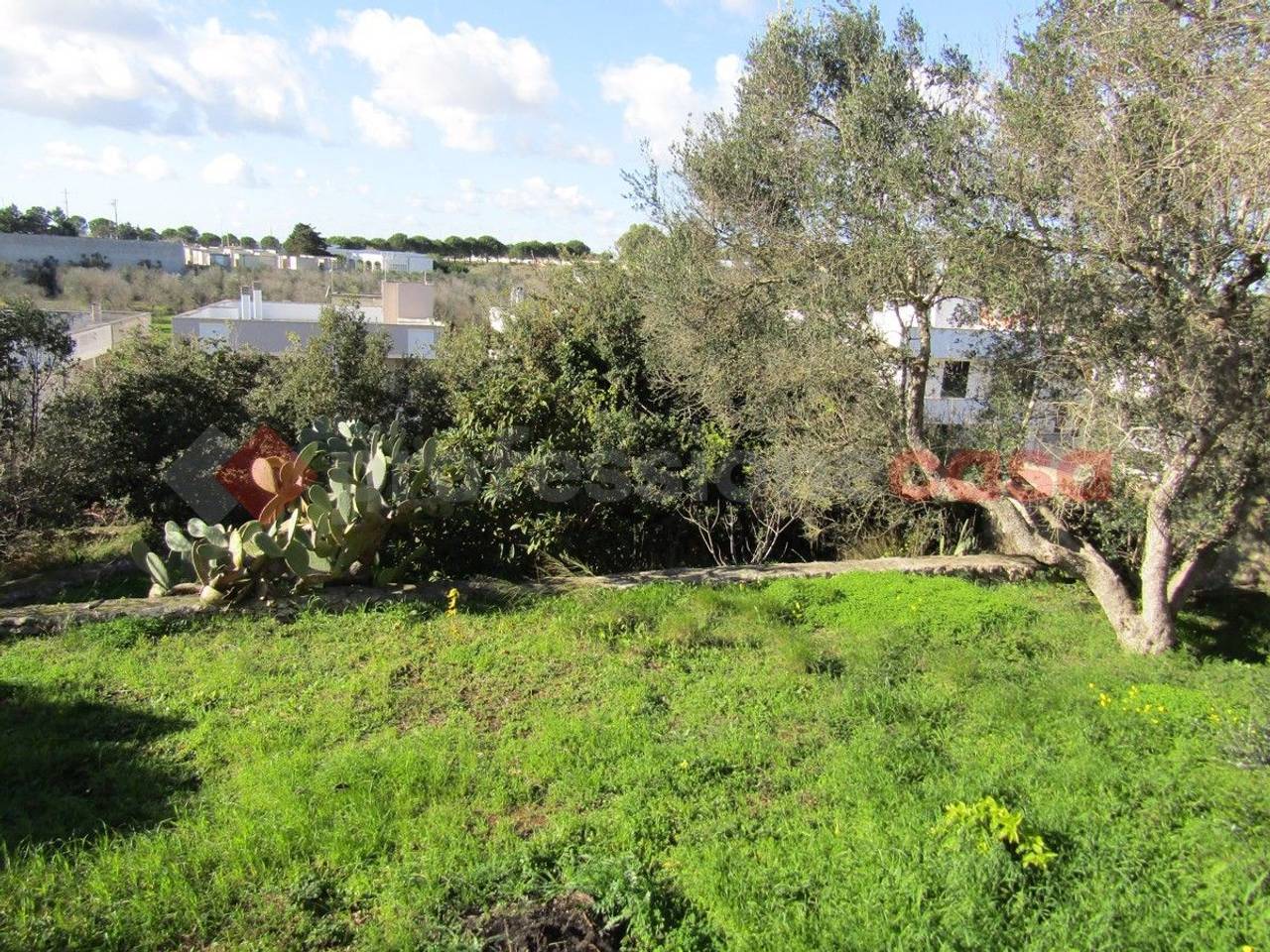 immagine annuncio 4 di 7