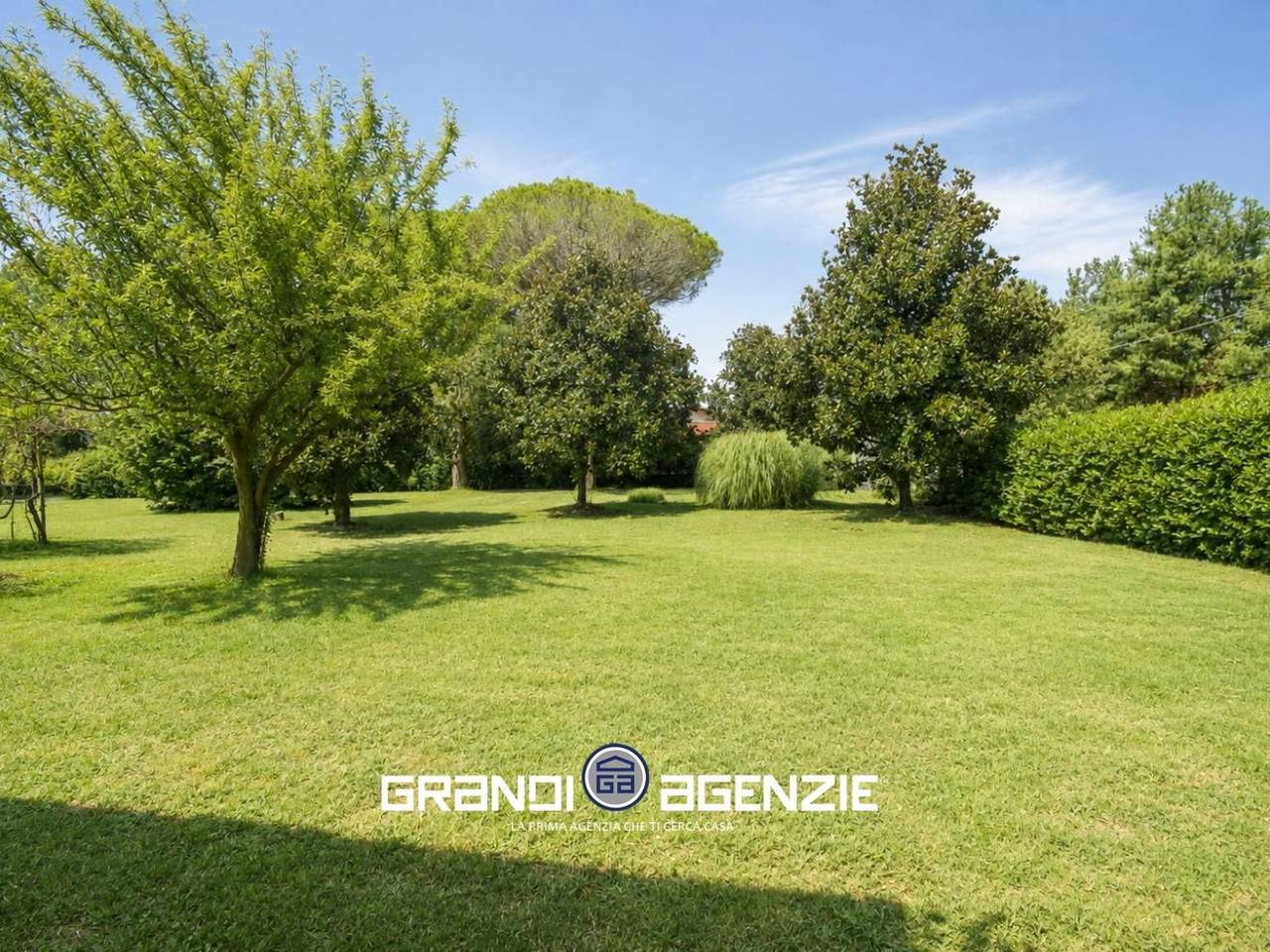 immagine annuncio 11 di 12