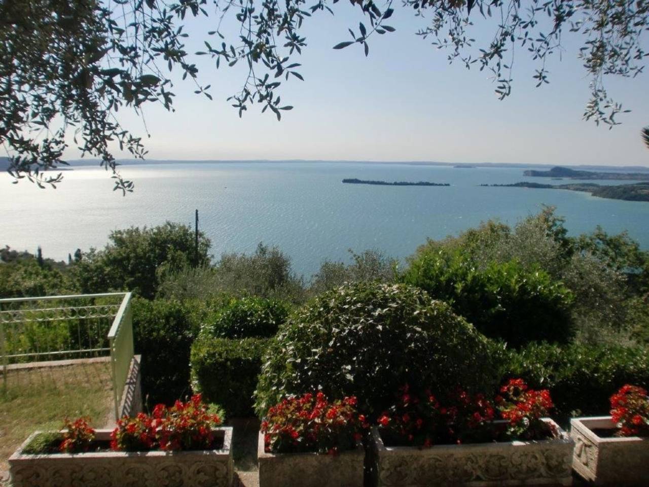 immagine annuncio 1 di 15