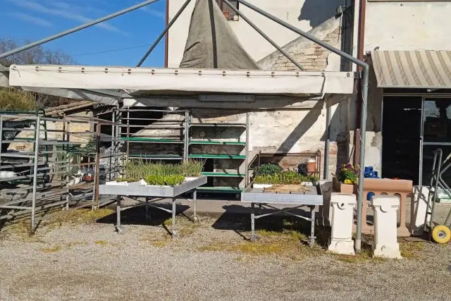 Azienda agricola in vendita, Martinsicuro - Foto 1
