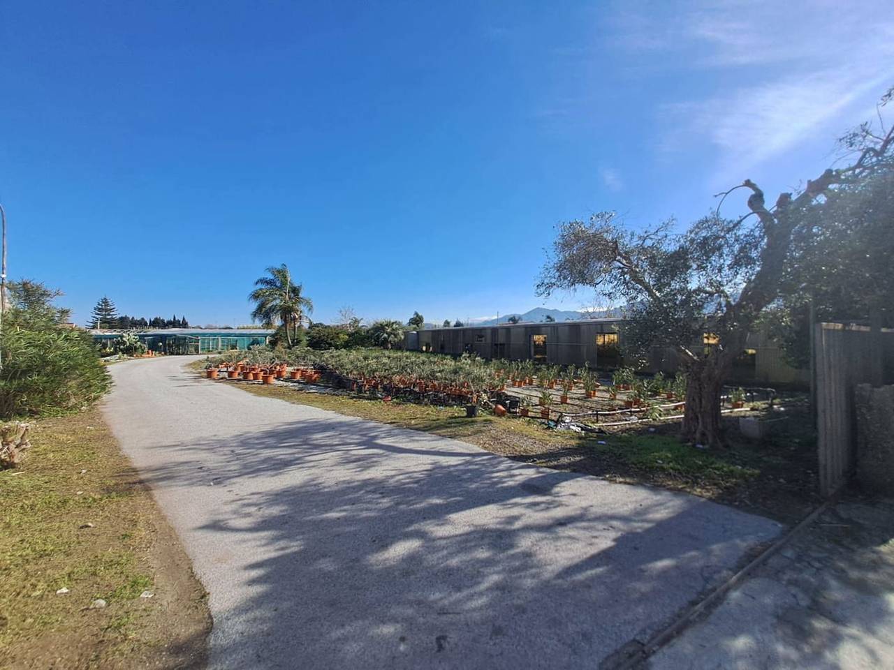 immagine annuncio 2 di 7